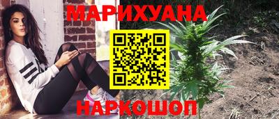 гашик Донецк