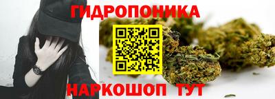 дживик Дубна