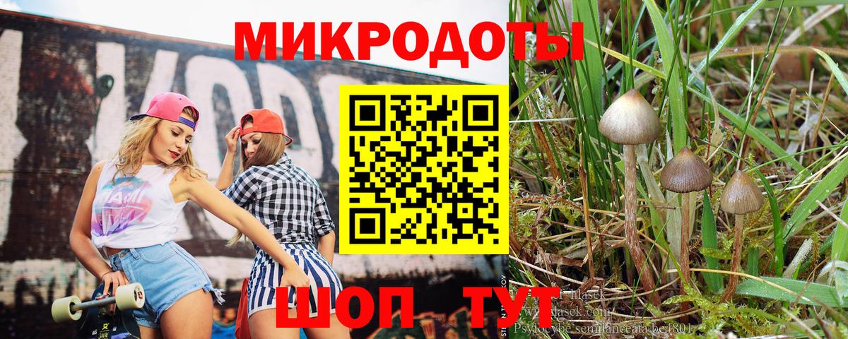 Галлюциногенные грибы GOLDEN TEACHER  Вход с VPN  Михайловск 